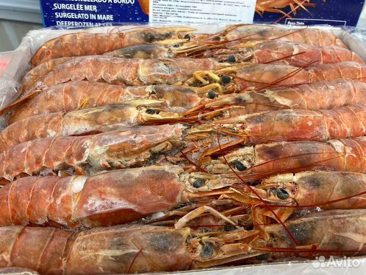 Лангустины L1 крупный. Охлажденные