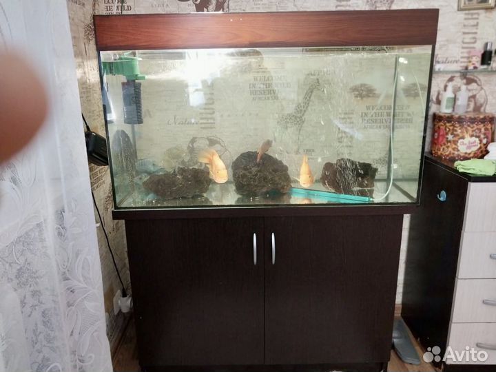 Аквариум с тумбой200 литров
