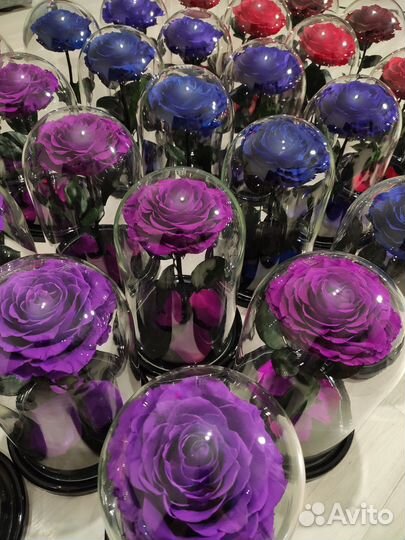 Вечная роза в колбе