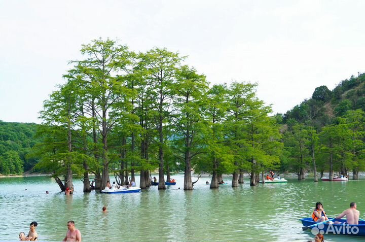 Экскурсии в Анапе