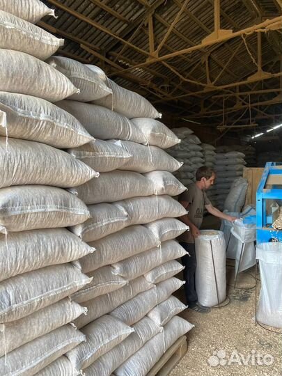 Щепа для копчения,Бук