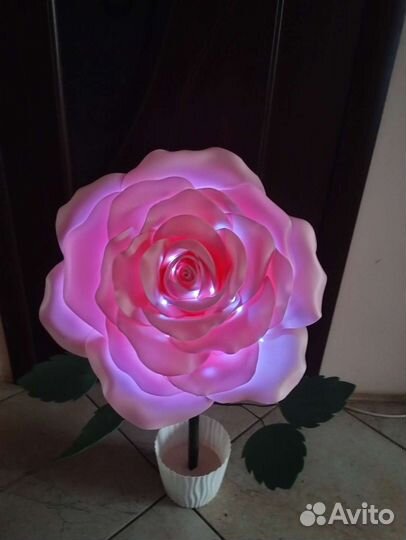 Роза, ночник, цветок, торшер, светильник