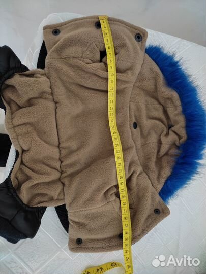 Одежда для чихуахуа