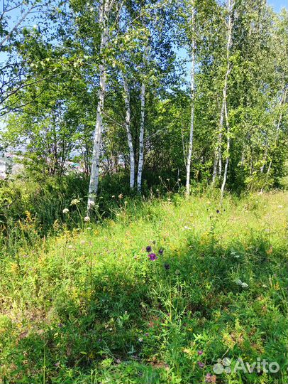 Свеча из травы полынь для окуривания помещения