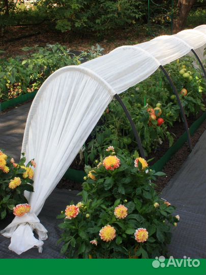 Парник в сборе 