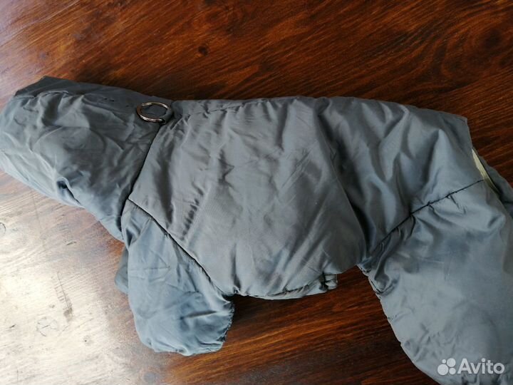 Одежда для собак