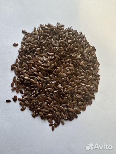Семена льна