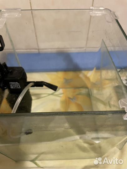 Аквариум террариум