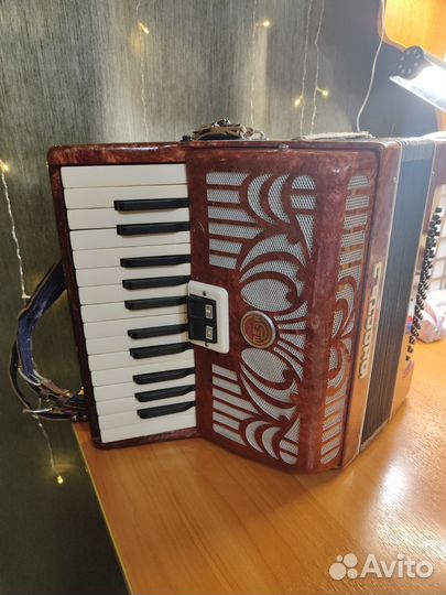 Аккордеон Юность 3
