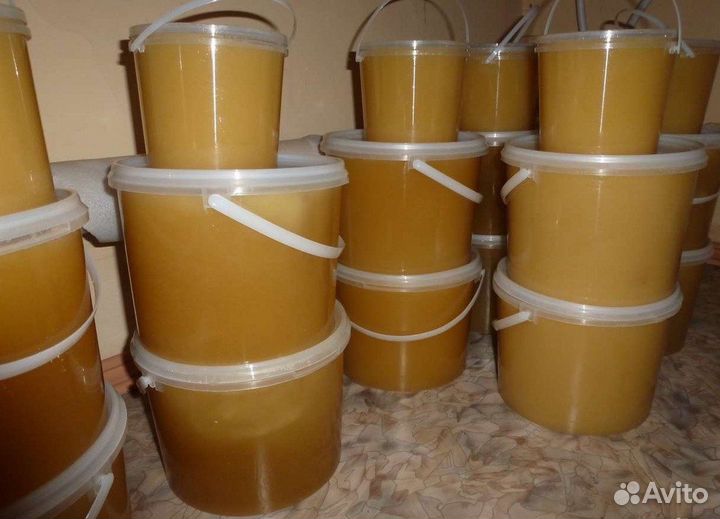 Лесной мед (алтай)