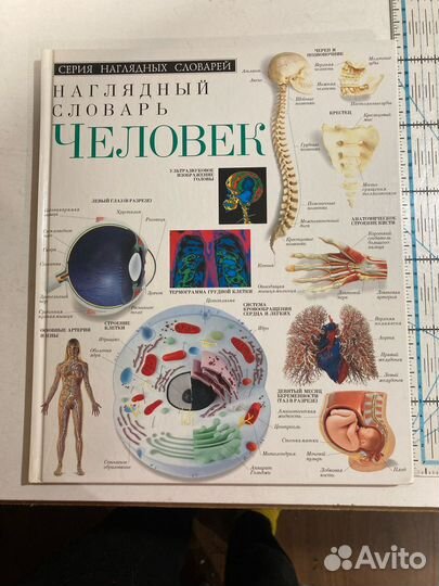 Наглядный словарь. Человек. Изд. Дорлинг киндерсли