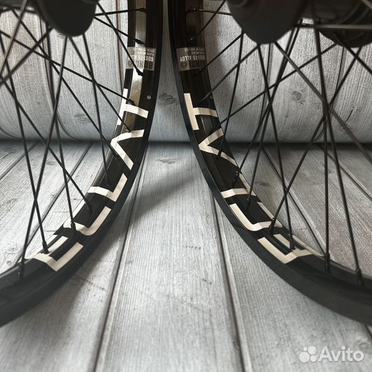 Вилсет WTP Helix, Eclat Bondi