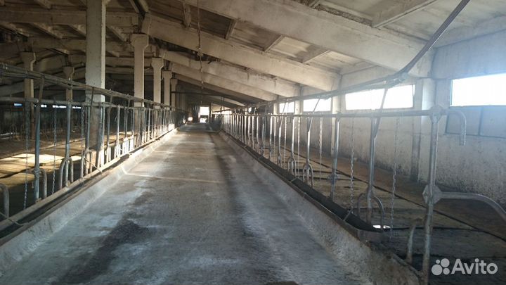 Фермерское хозяйство