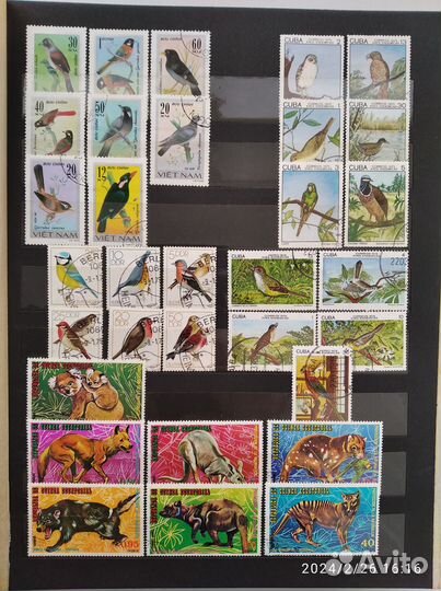 Марки собаки, кошки, животные и др