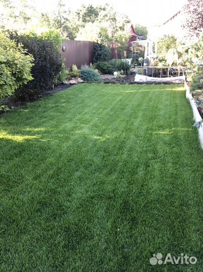 Питомник растений №1