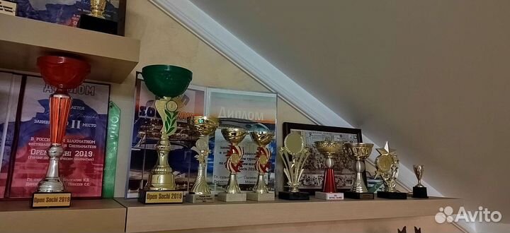 Тренер по шахматам