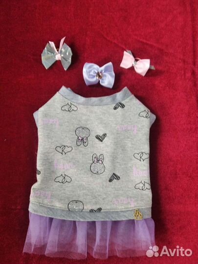 Одежда для животных. Собак и кошек