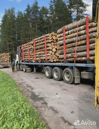 Доска 50Х100 (6000) шт 1c. ев