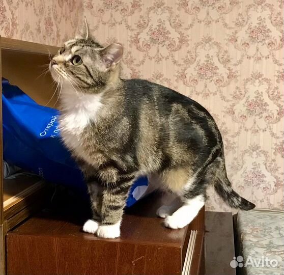 Ну страшно красивая