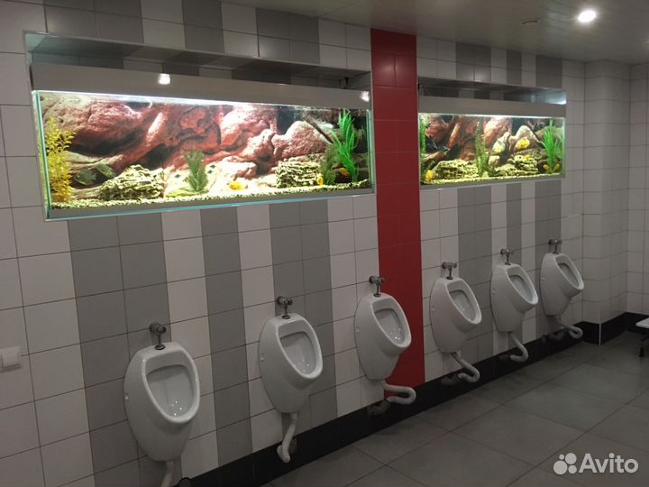 Аквариум сфера Полукруглый 500л