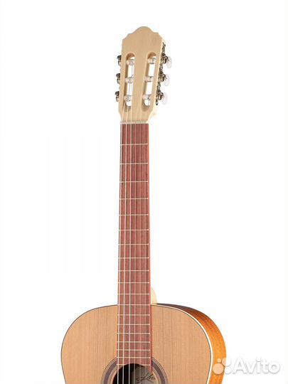 S65C-GG Sofia Soloist Series