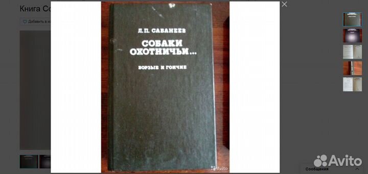 Книга Собаки Охотничьи