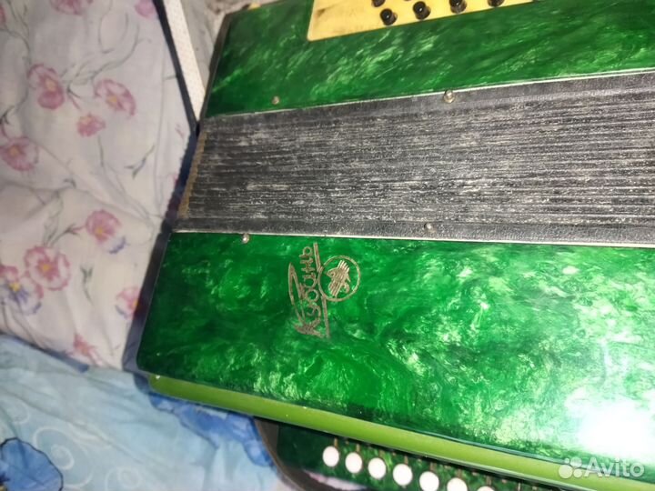 Гармонь Кубань