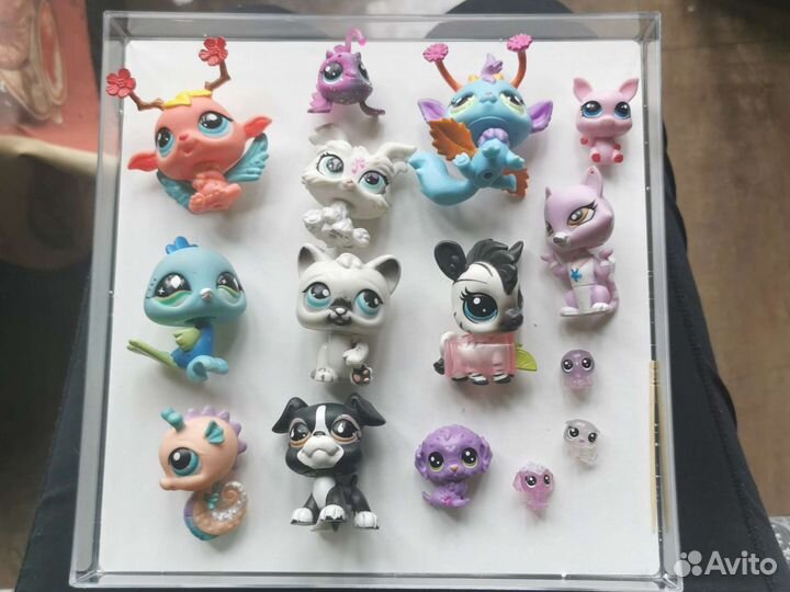 LPS оригинал стоячки тэби кеты и другие pet shop