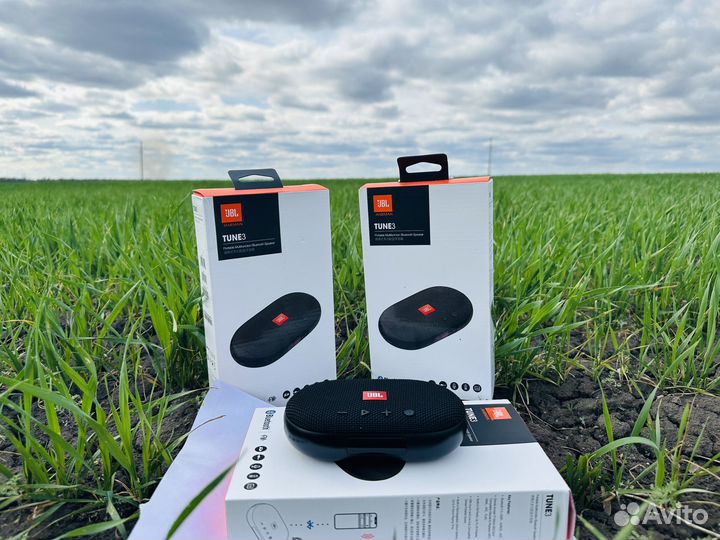 Колонка с FM тюнером JBL Tune 3