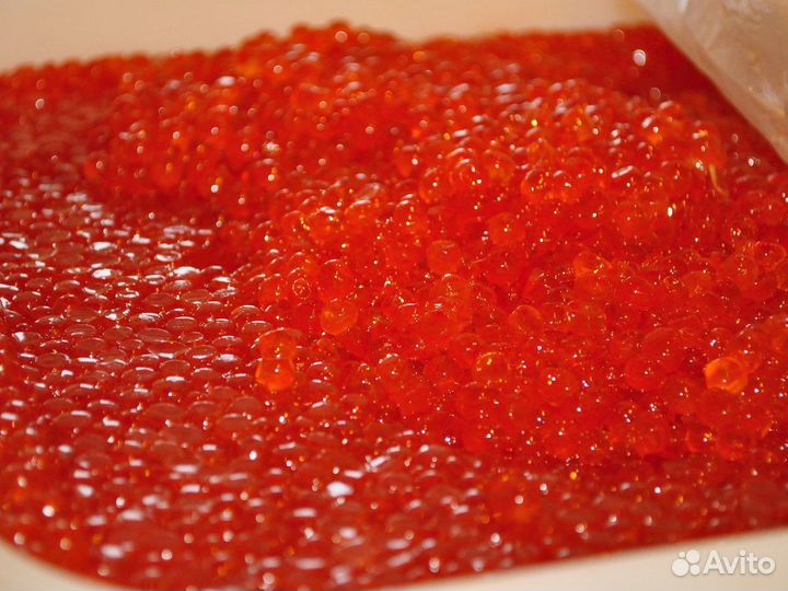 Красная икра кеты