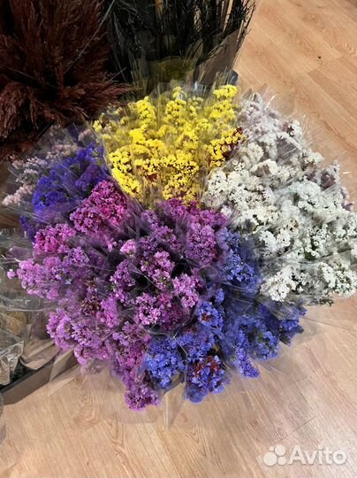 Стабилизированные растения/Сухоцветы