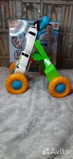 Новые ходунки-каталка Зебра Everflo