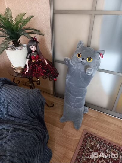 Кот батон британец