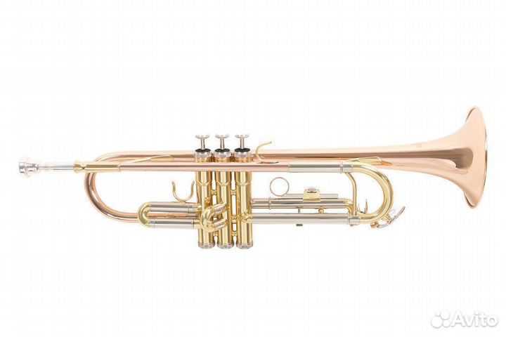 Труба Roy Benson TR-202G