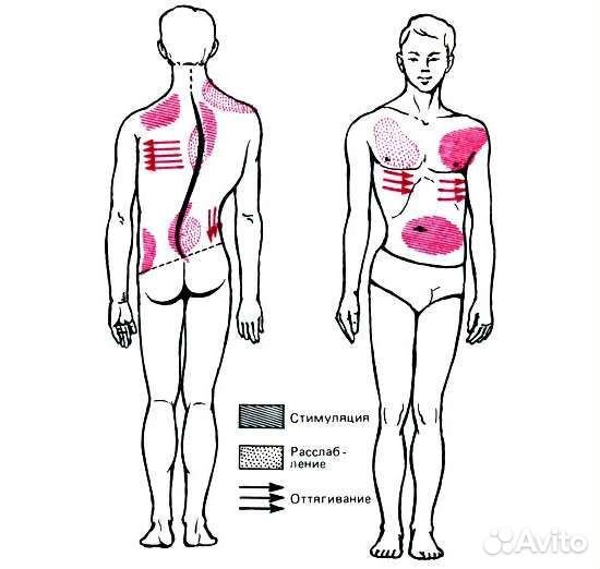 Скалиоз, массаж при скалиозе