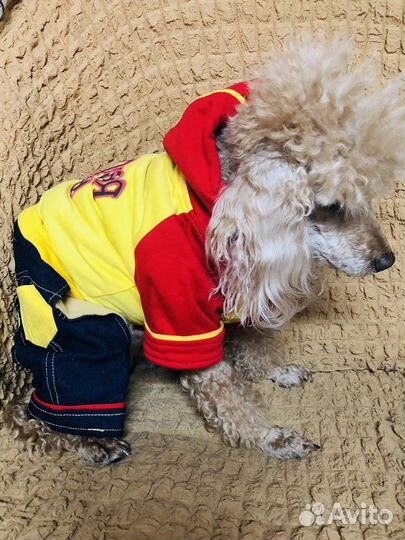 Комбинезон для собаки 46 см