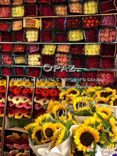 101 роза 51 роза 25 роз Цветы Букеты Доставка