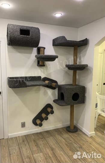 Когтеточка, комплекс для кошек