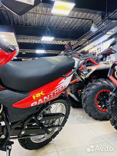 Мотоцикл Racer Panther 300 2024