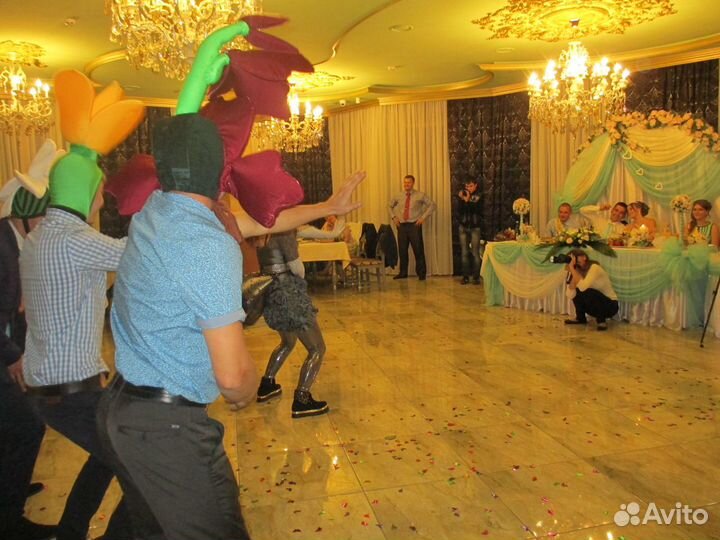 Ведущий Музыкант Диджей Спецэффекты Дым