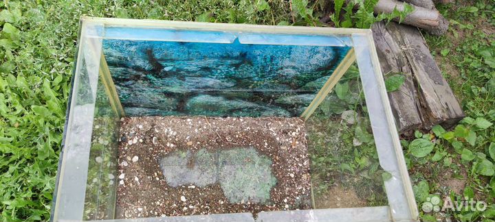 Аквариум бесплатно