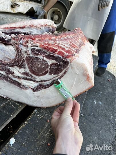 Сало домашнее