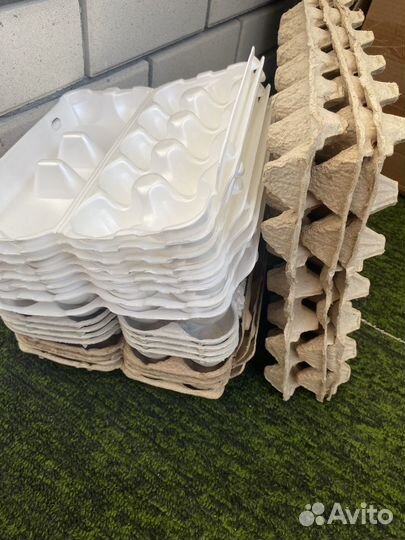 Лотки для яиц