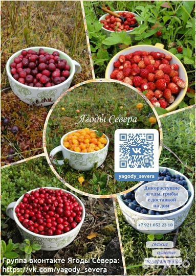 Свежая клюква, варенье из брусники, черники