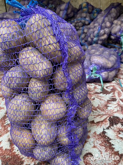 Продам картофель, цена 18