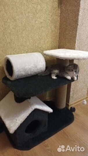 Домик для кошки с когтеточкой