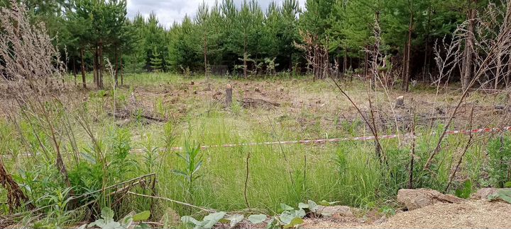 Участок 6 сот. (ИЖС)