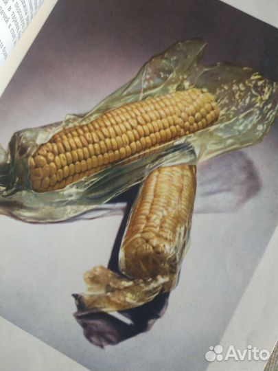 Книга о вкусной и здоровой пище 1954 год