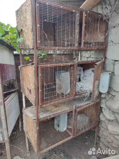 Клетки для кроликов