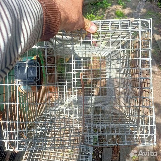 Клетка для грызунов бу